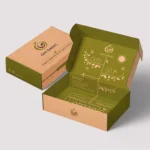 Airplane Mailer Box 2