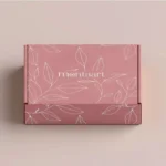 Airplane Mailer Box 4