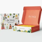 Airplane Mailer Box 6