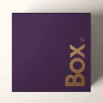 Foldable Rigid Packaging 6