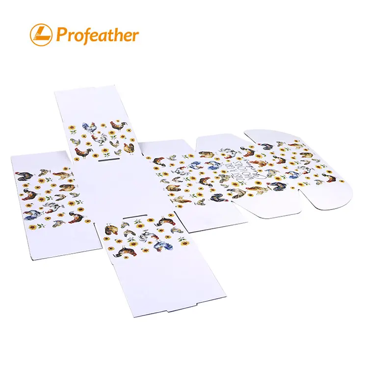 Corrugated Mailer Box 1 1