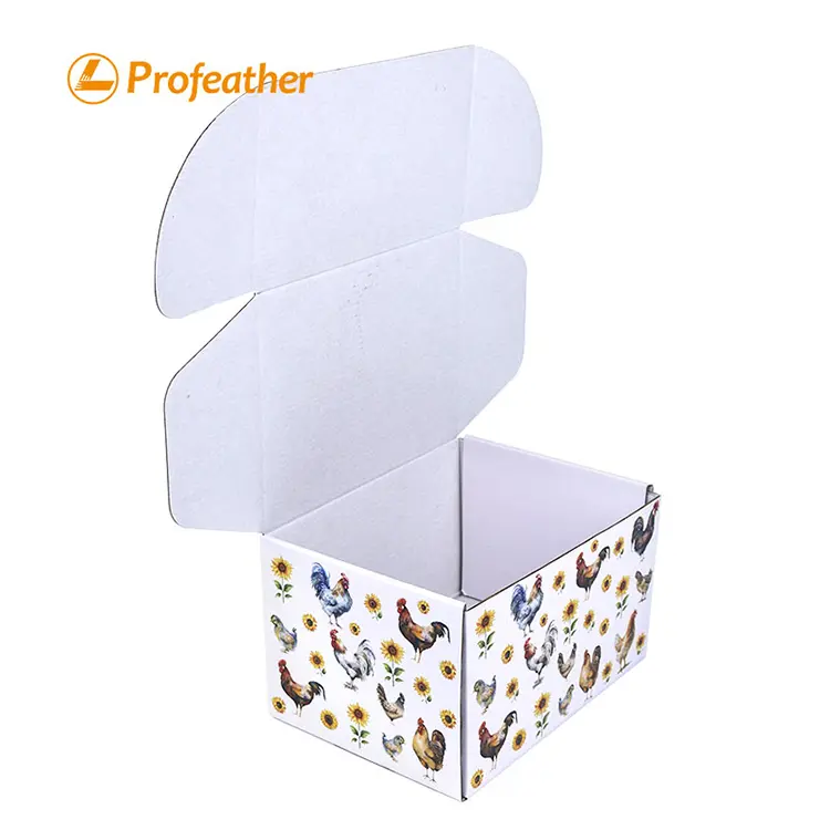 Corrugated Mailer Box 2 1