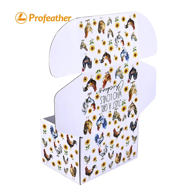 Corrugated Mailer Box 3 1