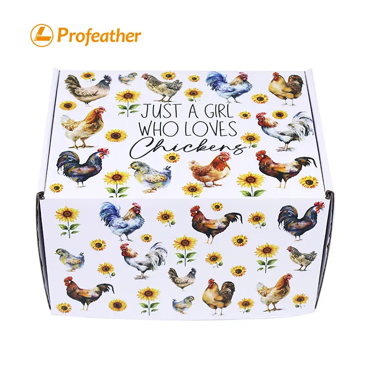 Corrugated Mailer Box 4 1