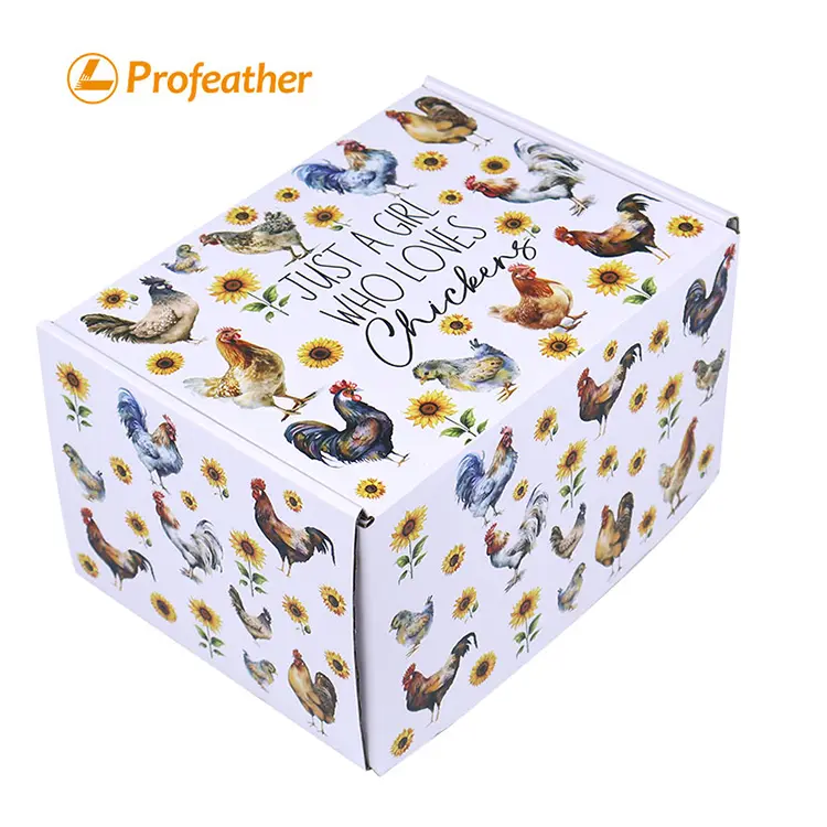 Corrugated Mailer Box 5 1