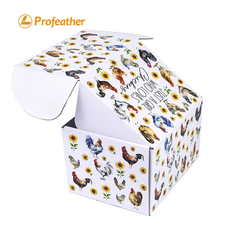 Corrugated Mailer Box 6 1