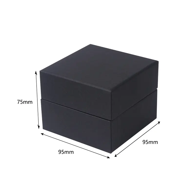 Eco Black Watch Chain Box 6