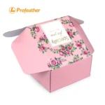 Foldable Airplane Box 7