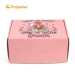 Foldable Airplane Shipping Box 1
