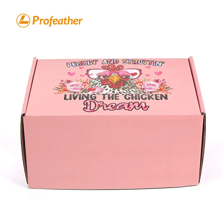 Foldable Airplane Shipping Box 1
