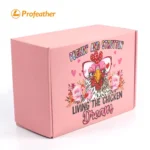 Foldable Airplane Shipping Box 3
