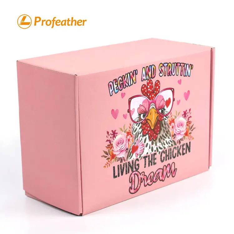 Foldable Airplane Shipping Box 3