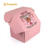 Foldable Airplane Shipping Box 6