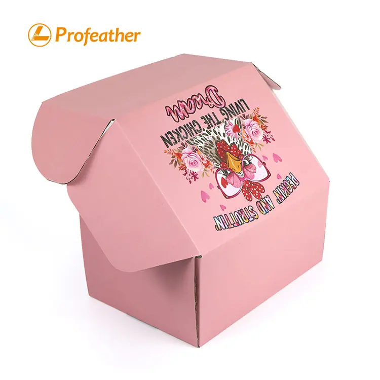 Foldable Airplane Shipping Box 6