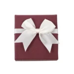 Gift Box With Bow For Watch Jewelry 6