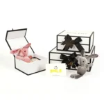 Magnetic Ribbon Gift Box 3