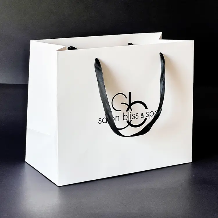 Ribbon Handle Bags 1 1