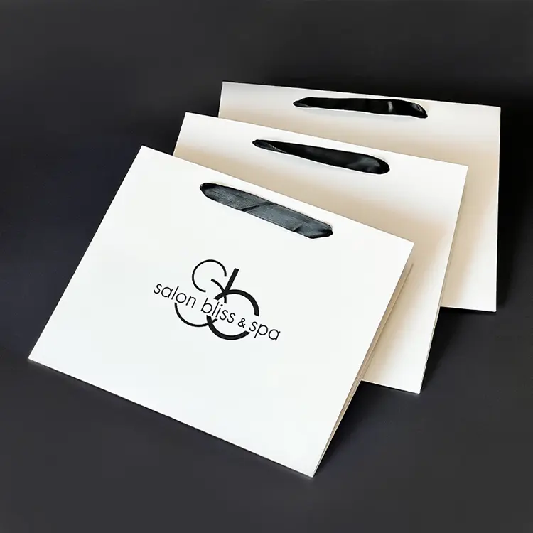 Ribbon Handle Bags 2 1