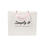 Ribbon Handle Bags 2