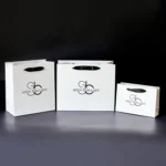 Ribbon Handle Bags 6 1