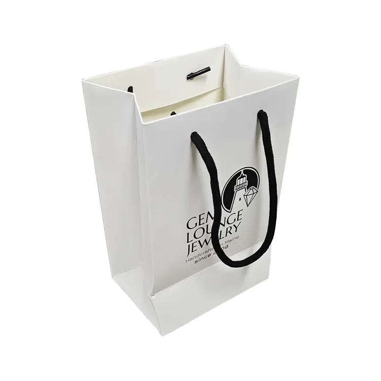 Ribbon Handle Gift Bags 3