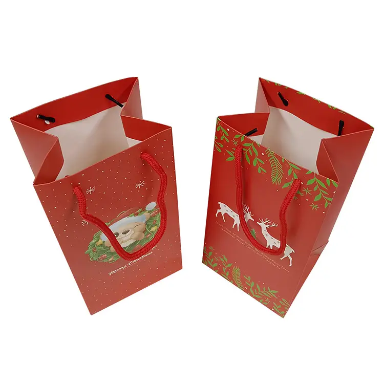 Ribbon Handle Gift Bags 4